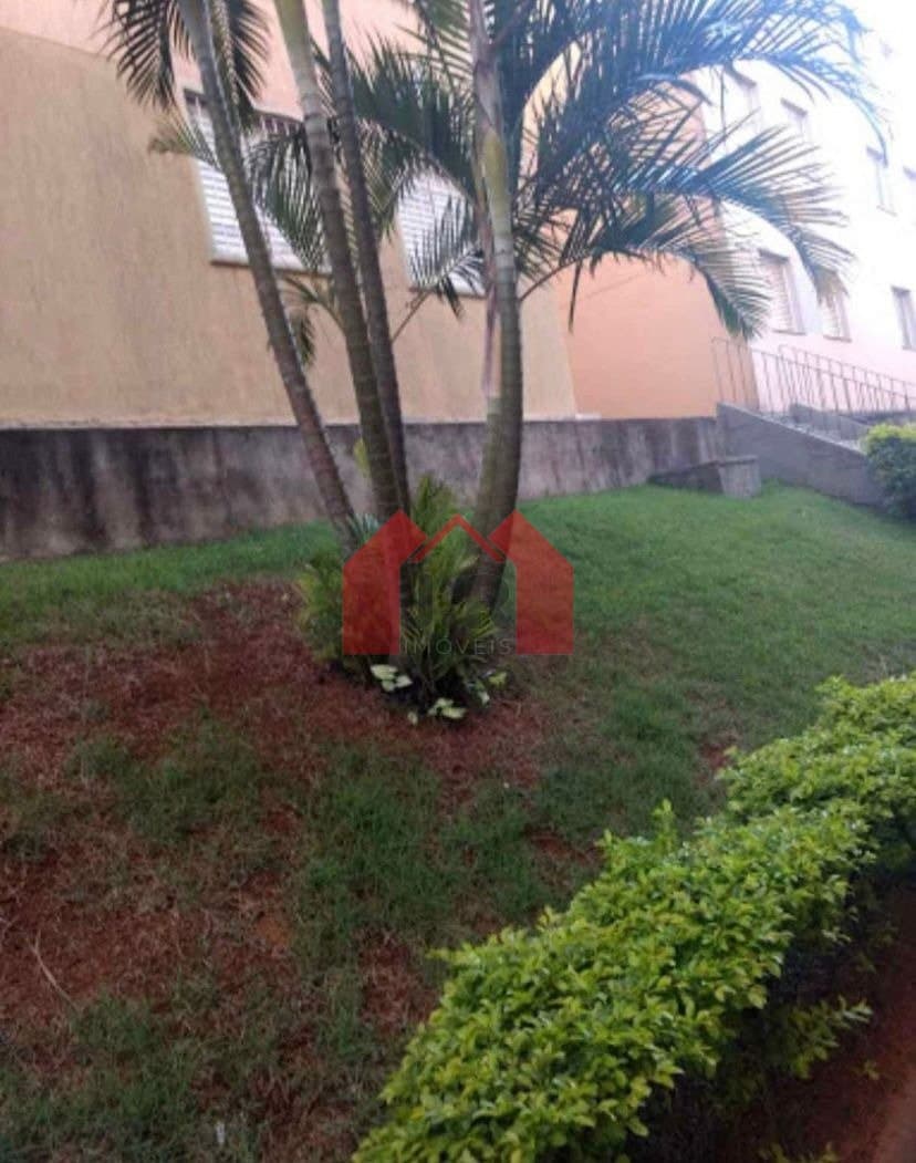 Imagem da propriedade 242 6