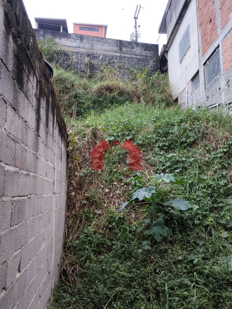 Imagem da propriedade 292 9